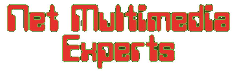AAA Net Multimedia Experts